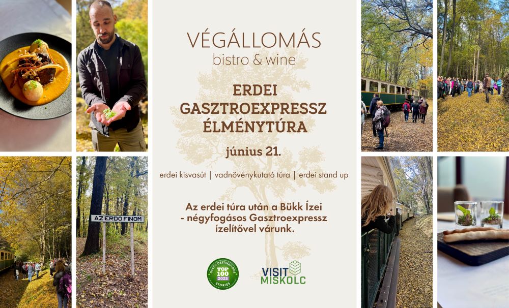 Erdei GasztroExpressz élménytúra júniusban is! Rendhagyó módon: vasárnap!