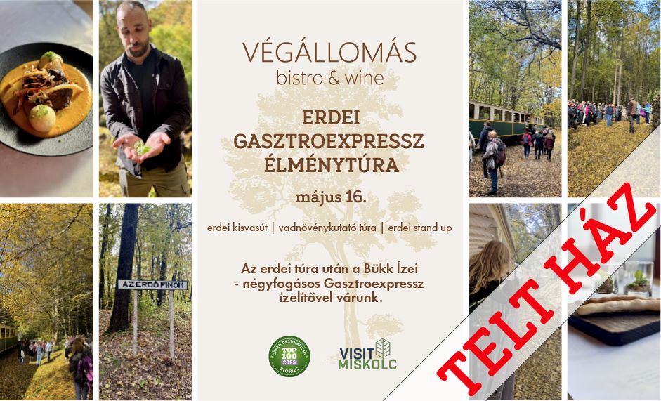 Erdei GasztroExpressz élménytúra