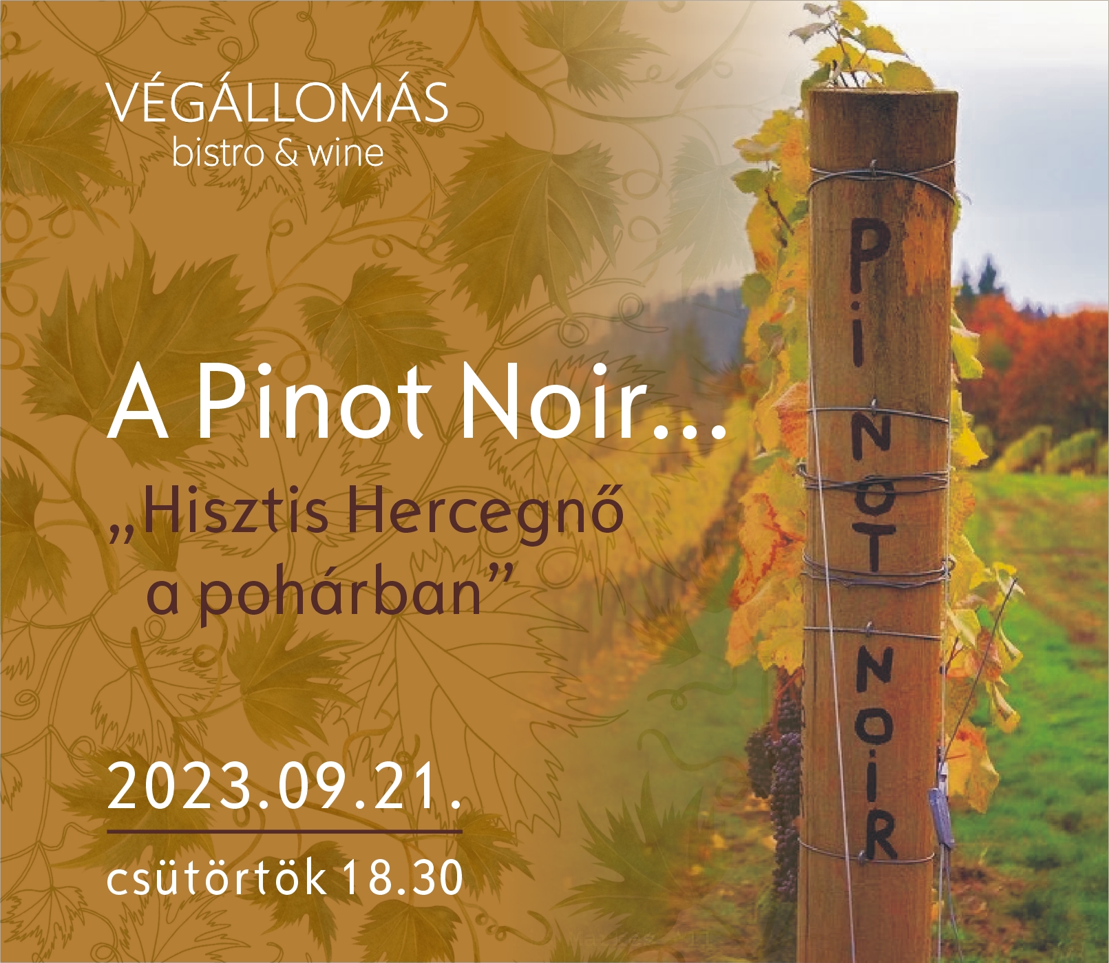 A Pinot Noir...