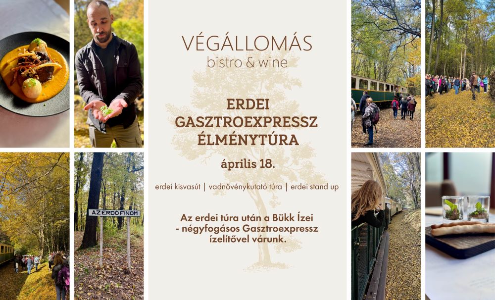 Erdei GasztroExpressz élménytúra