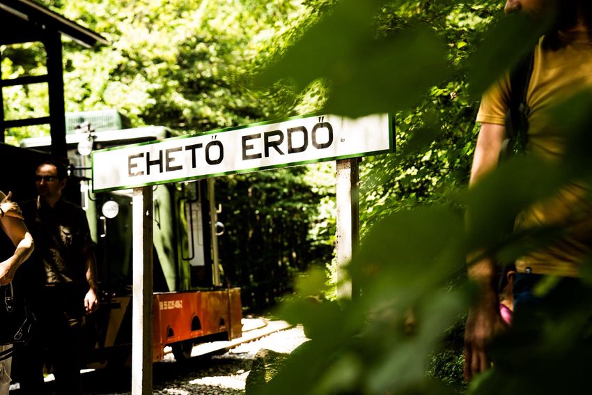 Világhírű lett a miskolci Erdei Gasztroexpressz
