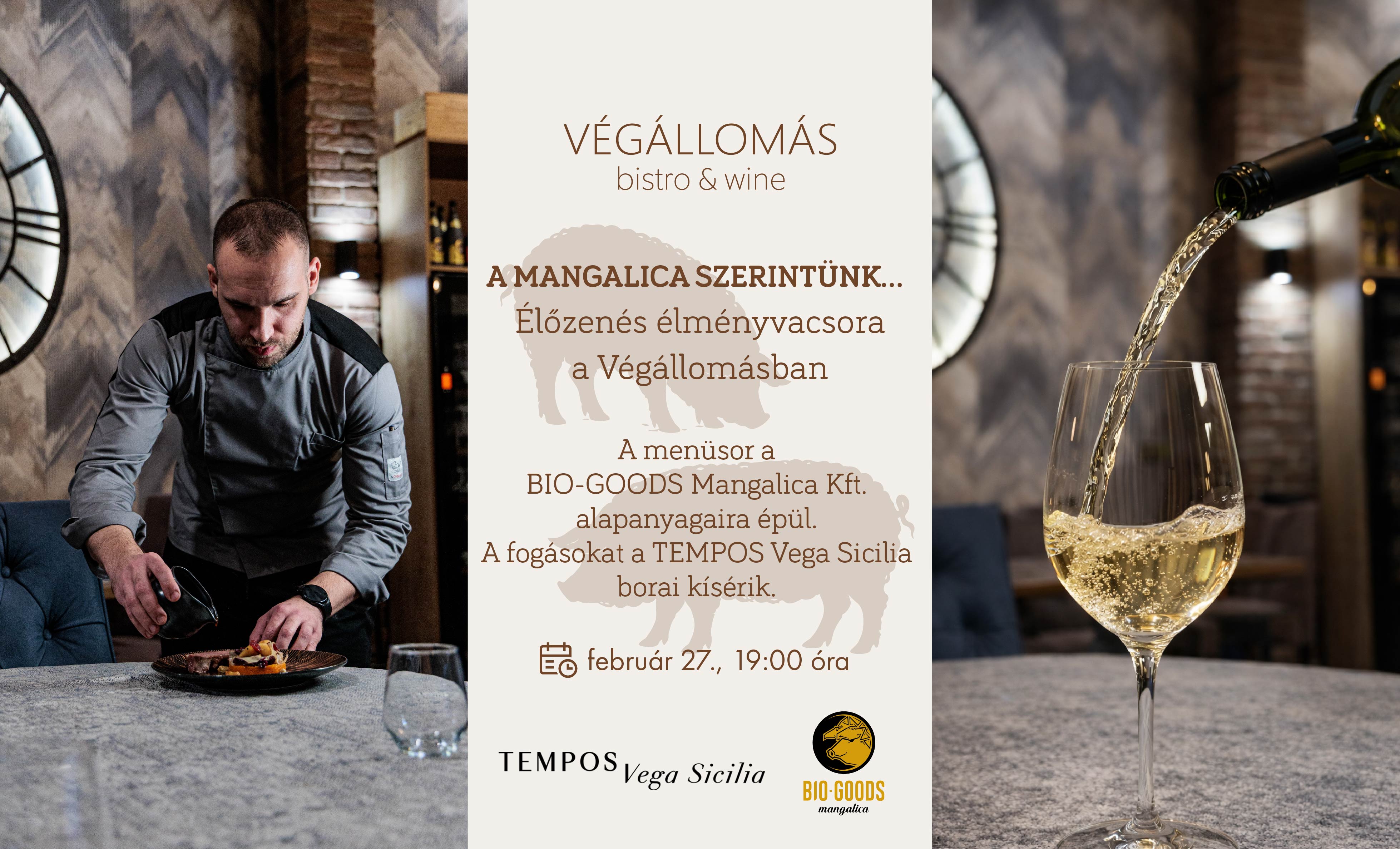 "A mangalica szerintünk…"