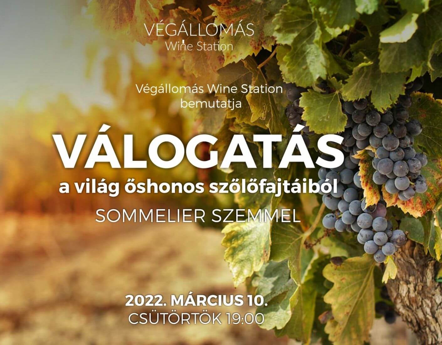 Wine Station bemutatja: Válogatás a világ őshonos fajtáiból 2022